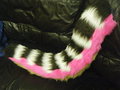 Cinama's tail