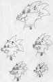 Sonic OC Doodle 8