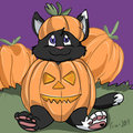 Pumpkin Patch Cubs Icon: Nick2shy