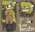 Exo The Porcupine by MsKawaiiPants