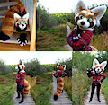 Red Panda Fursuit (for sale!)