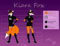 Character Sheet - Kiara (Clean version) by foxyxxx