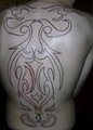 tatoo contour by tribalwolf