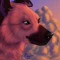 Commission - Star Icon