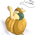 silvy's pumpkin