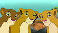 Duba the lioness, Mkundu the Lioness & Kitako the Lioness