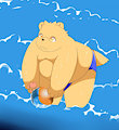 Bear in the beach