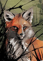 Inkwash foxy by foxboy83