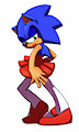 Sonic the Sweetheart
