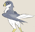 Falcon by Tuke