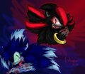 Shadow and Sonic (Werehogs) by frillyreptile