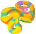 Colorful Boa 