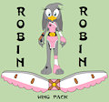 Robin's Ninja Garb