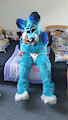Being shy and padded by Bluey