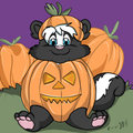 Pumpkin Patch Cubs Icon: Ozzie Skunk