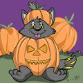 Pumpkin Patch Cubs Icon: TaeTheFox