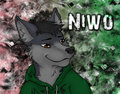 Badge for Niwo