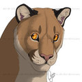 Commission - Cougar Headshot