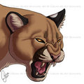 Commission - Fierce Cougar