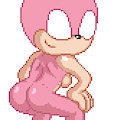 Twerking Sonic Gal