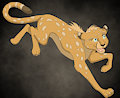 New Cheetah (adopt)