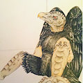 Vulture by CreamyOpossum