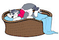 Basket nap by Loupy