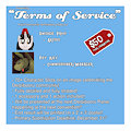 "Terms of Service" Community Collaboration Commission Project!
