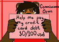 help me pay my debt