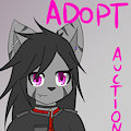 Adopt auction ! (Read Desc)