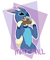 Marshall Badge