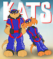 Swat Kats