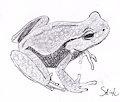 Animals sketch by Shiku