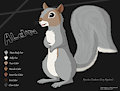 Commission - Aldin the Squirrel!