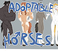 *ADOPTABLES*_Horses