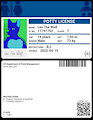 Got my Potty License