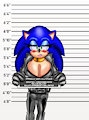 Catwoman Sonic Mugshot Sonic TG