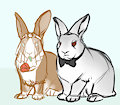 totally legit bunny wedding