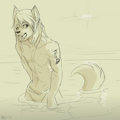 Wet Fox is waiting :3