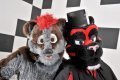 Furshoot pics from FWA (Picture 4) 