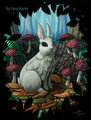 White rabbit by tavisharts