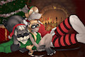 Raccoon Family, Christmas Photo