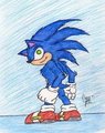 Sonic The Hedgehog