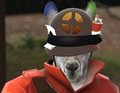 Real Life Roo with added TF2 by Roozy