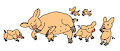 Family of Cute Piggies