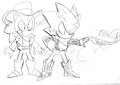 Wild Sal's Partner Sonic sketches