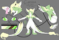 Cainetta the Dutch Angel Dragon revised ref sheet ( C ) by jdg07
