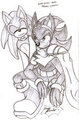 SatBK - Prince Shadow and Slave Sonic by sonicremix