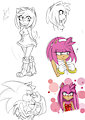 Amy Rose the Hedgehog by Angielori