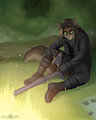 Exoticwolf commission (August 2013) by ABD